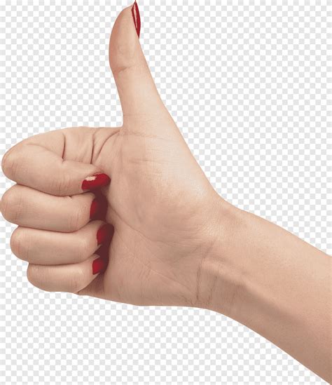 Hand Finger Thumb Fingers Image File Formats Hand Png PNGEgg