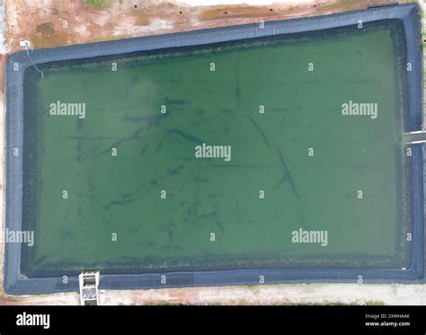 Aquaculture Farming Pond Liner System Hdpe Geomembrane Technology