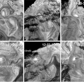 Sequential Images Of Ocm Derived Chlorophyll Concentration Show Eddy