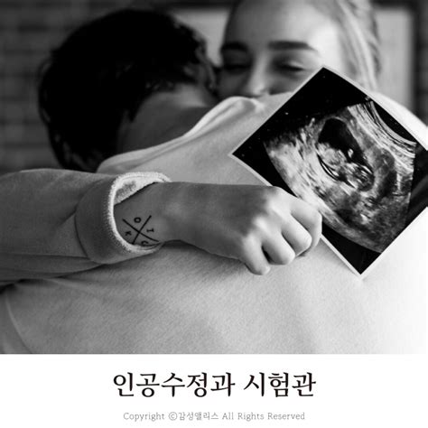 임신준비 시험관 이식후 증상과 시술과정 성공률 인공수정 차이는 네이버 블로그