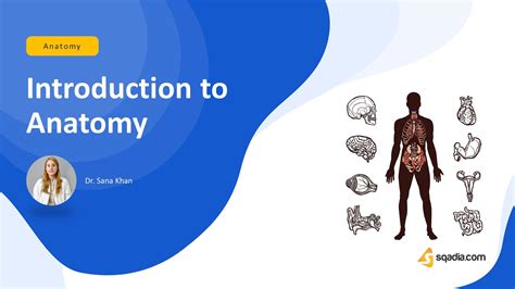 Introduction To Anatomy Introduction