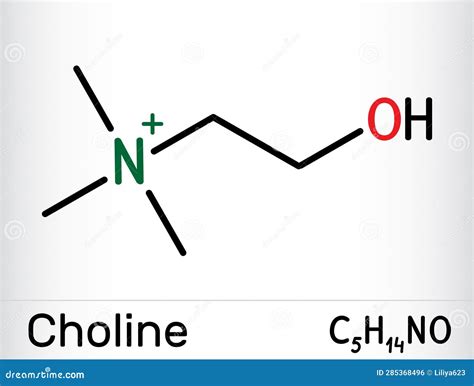 Choline Essential Nutrient Molecule Atoms Are Represented As Spheres