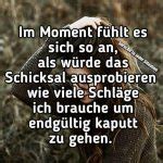 ᐅ ich schick dir einen engel Wochentage Bilder GBPicsHD