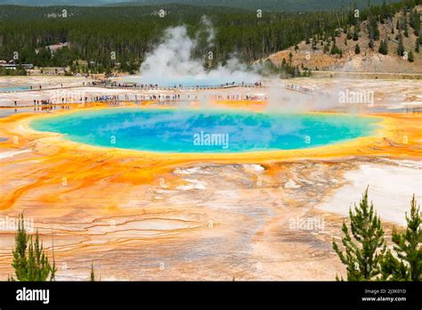 Grand Prismatic Geothermal Pool In Yellowstone Stock Photo Alamy