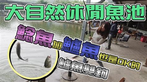 【台客去釣魚】貪吃的鯰魚，兇猛的鱸魚！讓包子妹一直雙弓一直爽！ Feat龍潭大自然休閒釣魚池 Youtube