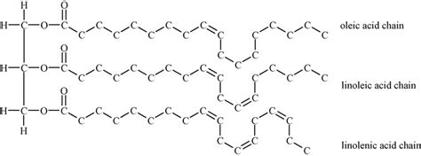 Molecular structure of a vegetable oil (example applies for rapeseed ...