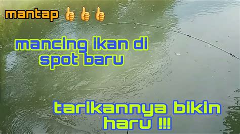 Mancing Ikan Di Spot Baru Tarikannya Bikin Haru Laukleutik Youtube