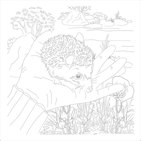 Раскраска Hatber Сюжеты для акварели-Любимые животные