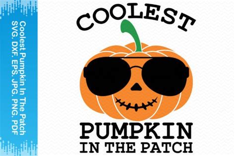 Coolest Pumpkin In The Patch Clipart Graphic By BlueFlex Creative Fabrica