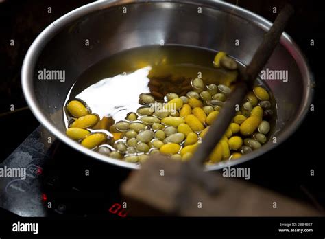 Boiling Silkworm Cocoons In Hoi An S Silk Village Stock Photo Alamy