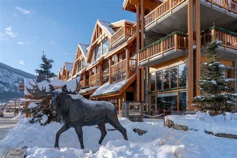 Banff Moose Hotel And Suites Wintersport Canada