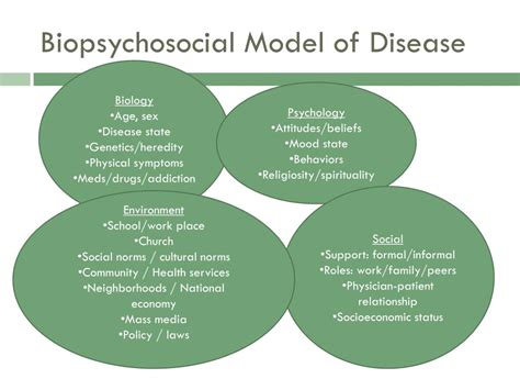 Biopsychosocial Model Of Health