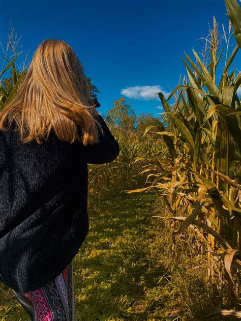 corn maze in 2023 | Autumn aesthetic, Corn maze, Things to do