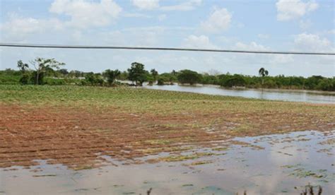 Cuba Sequ As E Inundaciones Impactan En Agricultura Por Noticias