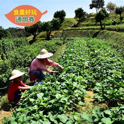 農遊超市 宜蘭香格里拉休閒農場 食農好玩單人體驗券 田野採食｜媽咪愛