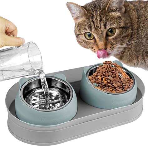 Amazon Kevideawl Elevated Cat Food Bowls Raised Cat Bowl With