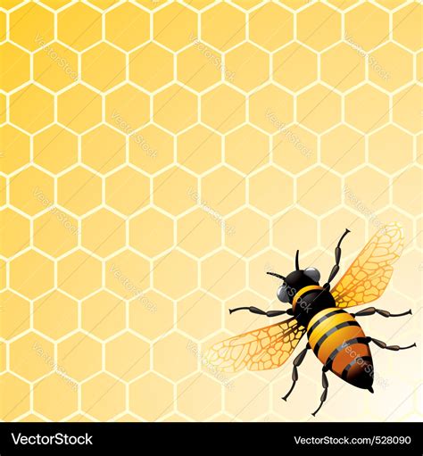 Bee On Honeycomb Royalty Free Vector Image Vectorstock