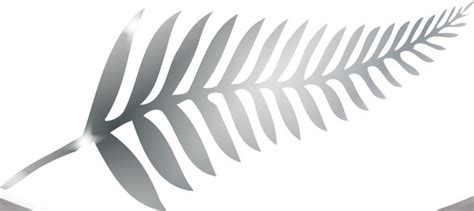 New Zealand Fern Vector Images (over 100)