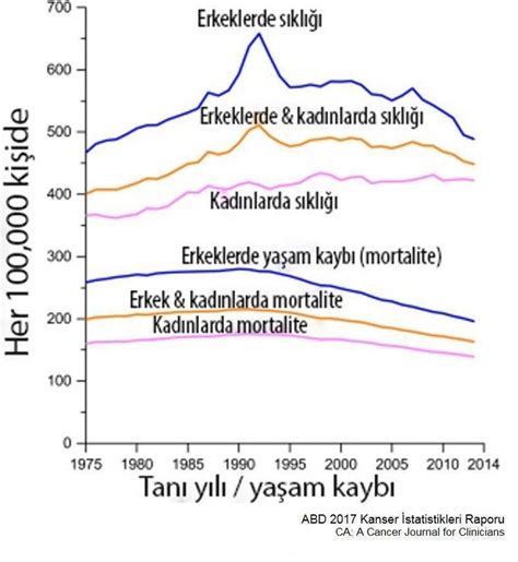 2017 ABD Kanser İstatistikleri ve Düşündürdükleri Prof Dr Mustafa