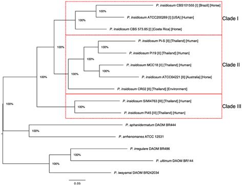 Jof Free Full Text Comparative Genomic Analysis Reveals Gene