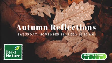 November 11th Autumn Reflections — Berks Nature