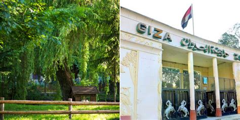 All You Need To Know About The Giza Zoo Renovation
