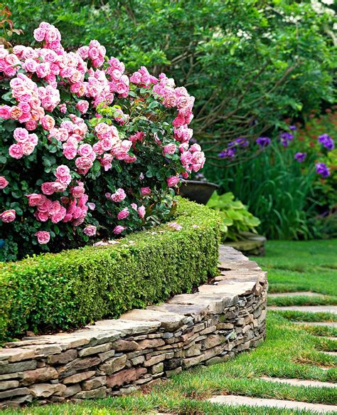 10 Best Flowering Trees And Shrubs For Adding Color To Your Yard Archup