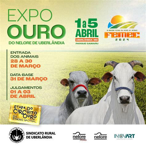 FEMEC 2024 A Maior Feira Do Agro De Minas