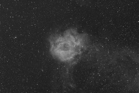 Ngc2264 Rosette Nebula Widefield In Ha Oiii And Sii Light