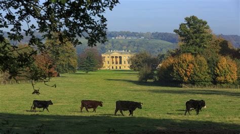 Basildon Park | Berkshire | National Trust