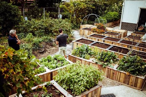 Funding for Community Garden Project – Foodcube