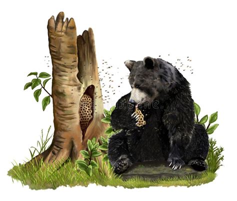 A Brown Bear Who Loves Honey Eats A Beehive Sitting On A Stone Stock