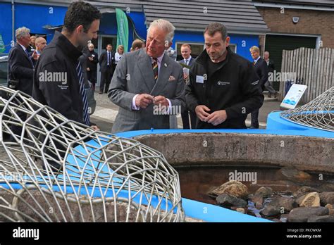 Kielder Salmon Hatchery Hi Res Stock Photography And Images Alamy