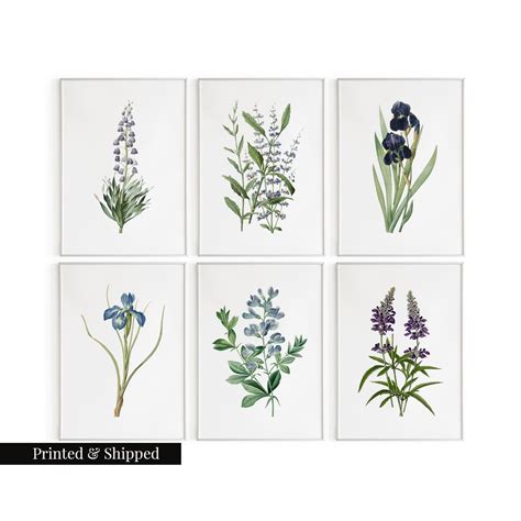 Vintage Blue Flowers Wall Art Prints Set Of 6 Botanical Floral Wall