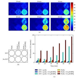 In Situ Real Time Imaging Of The Effects Of D T Pretreatment On Basal