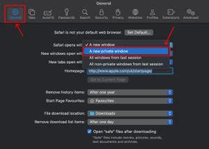 How to Go Incognito in Safari on iPhone, iPad & Mac | Beebom