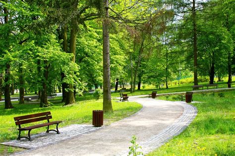 Beautiful Spring Park ⬇ Stock Photo, Image by © WDGPhoto #4582193