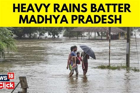 Madhya Pradesh Is Still Being Battered By Heavy Rains News18