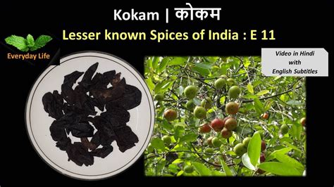 Kokam कोकम Lesser Known Spices Of India Ep 11 Everyday Life 27