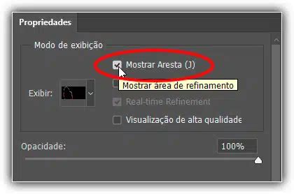 Refinar Bordas De Sele O Photoshop Wilson