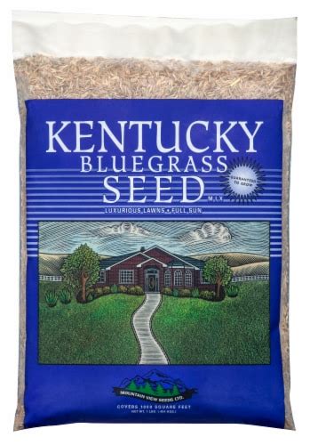 Mountain View Seeds Kentucky Bluegrass Seed, 1 lb - Kroger