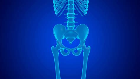 Blue Hologram Pain In The Femur Joint Caused By Cartilage Wear