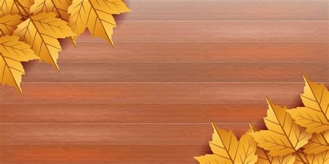 Fall Leaves Border Vector Art, Icons, and Graphics for Free Download