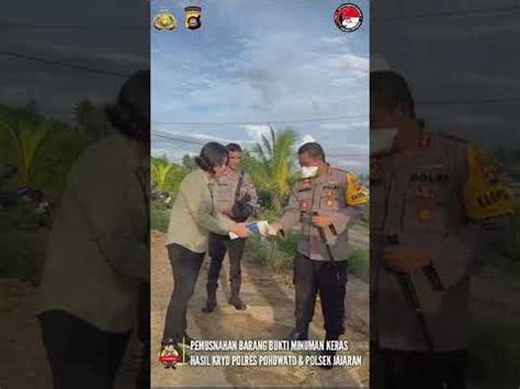 Pemusnahan Barang Bukti Minuman Keras Oleh Polres Pohuwato Youtube