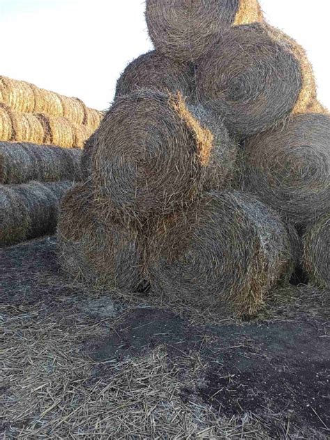 Продам круглые тюки солома