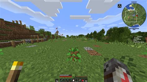 Trees Not Growing R Minecraft