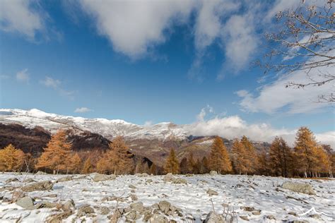 Contro Il Logorio Della Vita Moderna Cammina Nei Boschi Monviso