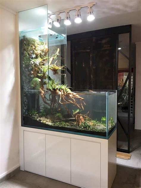 Best Small Aquarium Design Ideas With New Ideas Home Decorating Ideas