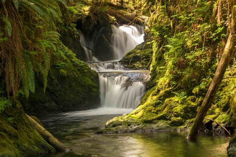 Hidden Waterfalls Of The Olympic Peninsula | TouristSecrets
