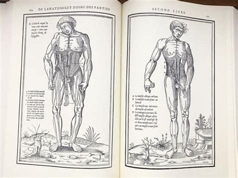 La dissection des parties du corps humain divisée en trois livres